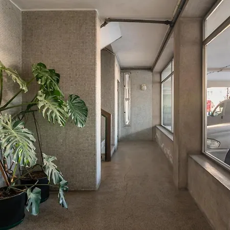 Apartment 4br In Center 2min Metro And Walk Aliados Porto